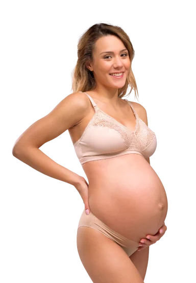 Carriwell recipeta silk për gjidhënje