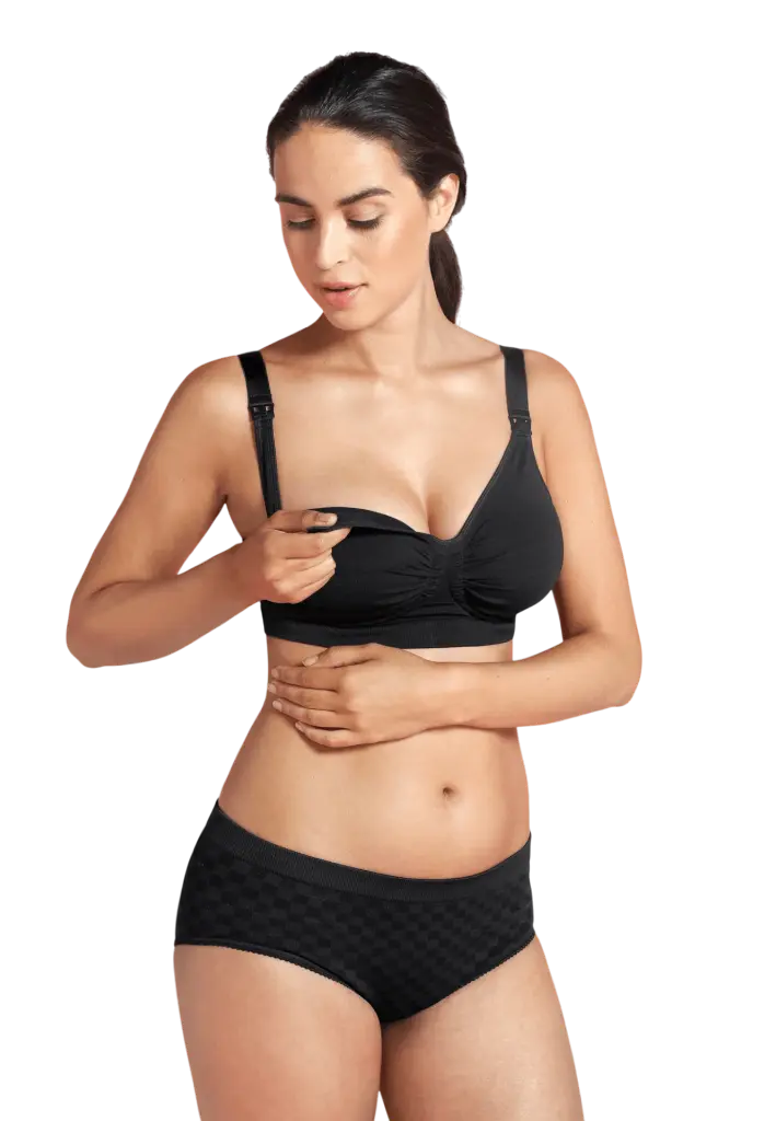 Carriwell recipeta gjidhënie me xhel