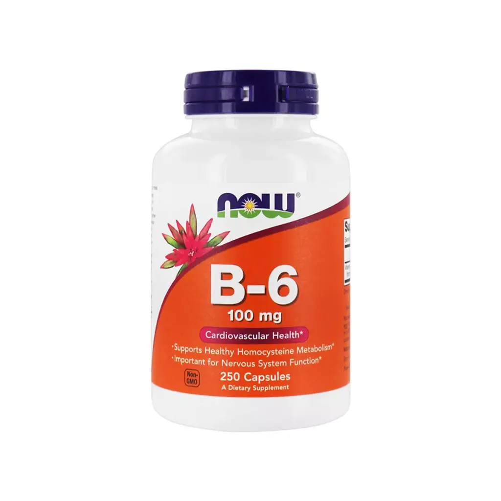 NOW B6 100mg vitam x100tb
