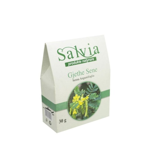 [A304] Salvia Gjethe Sene