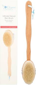 The Organic Ph Salon skin brush