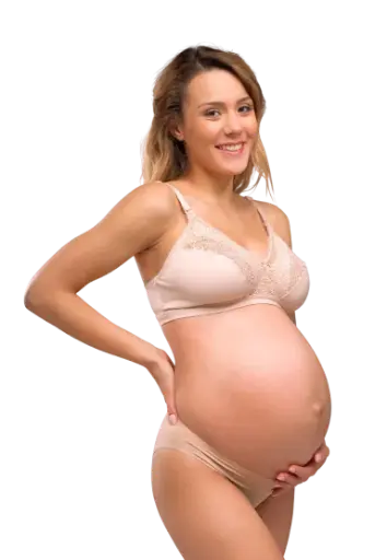 Carriwell recipeta silk për gjidhënje